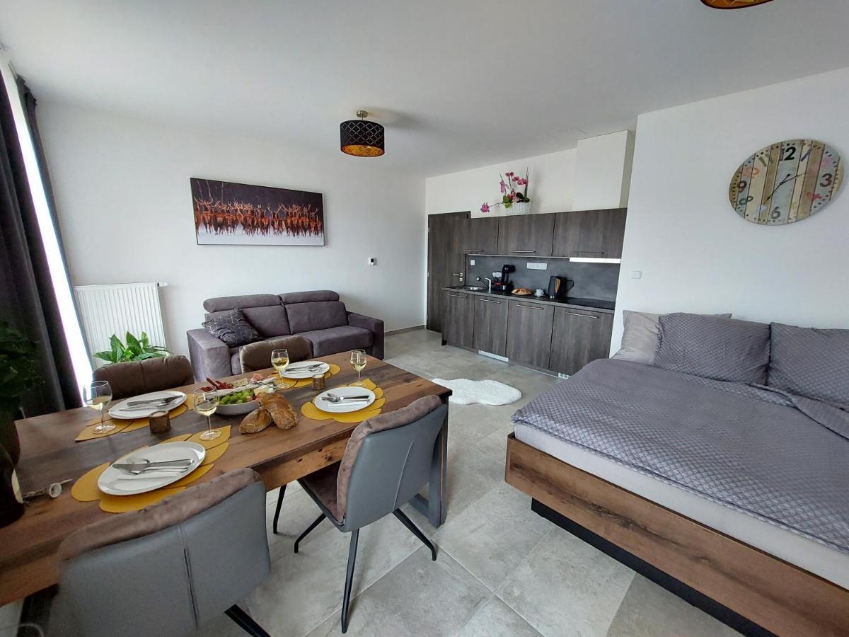 Apartman Rezidence Javor Zelezna Ruda Exterior photo